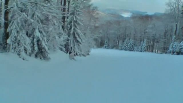 Ski or die смотреть онлайн