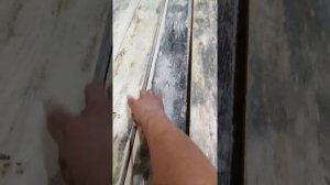 Дешовый способ избавиться от черноты и плесени на дереве!