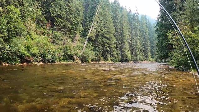 I'll show you WHY you need these 3 Fly Rods! (7.5ft / 8.5ft / 10ft) смотреть онлайн