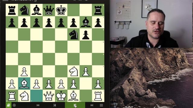 Petit chef d'oeuvre du GMI Canadien Kevin Spraggett HD 720p смотреть онлайн