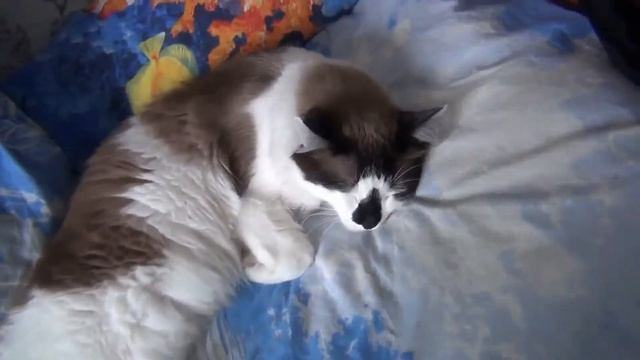 Гроубокс ( GrowBox ) Гидропоника : Удобрения, GHE (General Hydroponics) FLORA SERIES смотреть онлайн