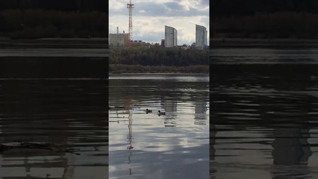 Красная горка Пермь / С правого берега Камы / На Каме утки смотреть онлайн