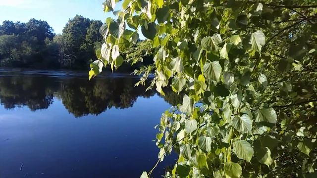 Клязьма. Петушки. смотреть онлайн