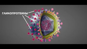 о том, как появился вирус ВИЧ и что он делает