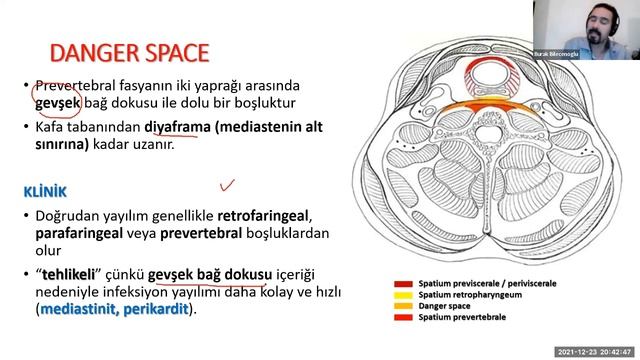 ODMFR Baş ve Boyun Bölgesindeki Fasyal Yapılar ve Klinik Anatomisi смотреть онлайн