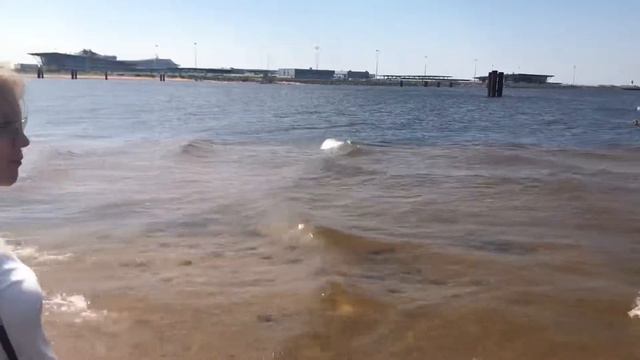 Финский залив, Санкт - Петербург смотреть онлайн