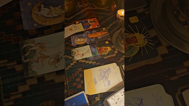General Reading Full Moon 2023 Tarot Oracle * Creativity * Curing Trauma * Information смотреть онлайн