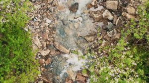 Стихи о воде и не только (Пушкин, Тютчев, Жуковский и др.)