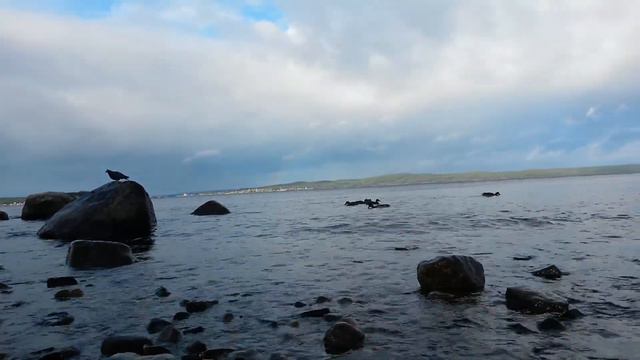 //Эстетика// смотреть онлайн