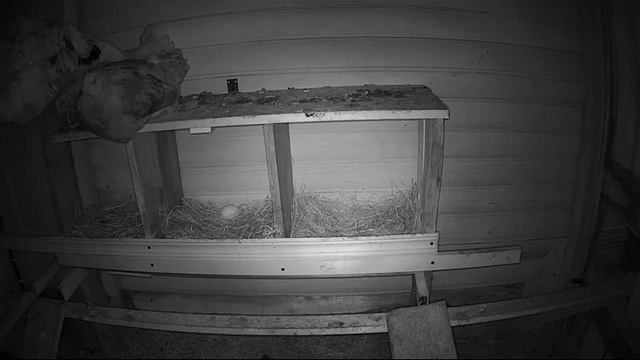 Куница часть 1 смотреть онлайн