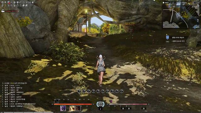 Bless Online - CLass Assassin Sylvan Elf Low lv Gameplay смотреть онлайн