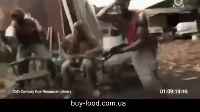Обезьяна с Калашом смотреть онлайн