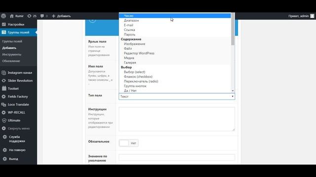 Плагин ACF для Wordpress смотреть онлайн