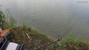 Летняя рыбалка на фидер и флэт фидер.