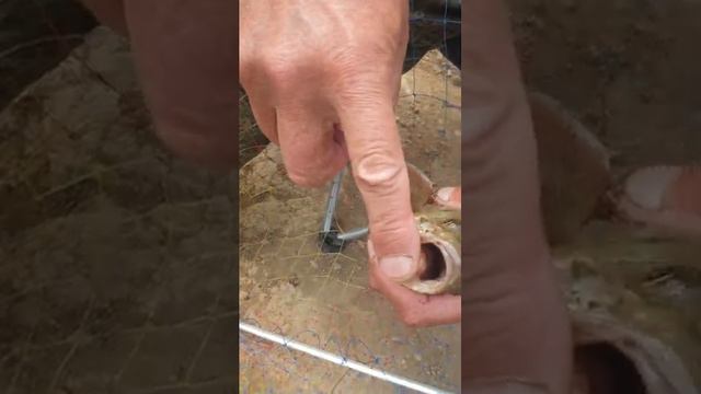 Рыбалка летом на реке Сим на фидер бешенный клёв смотреть онлайн