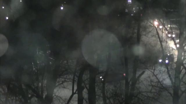 История о том, как вирус разрушил планы... |Дневник Музыканта смотреть онлайн