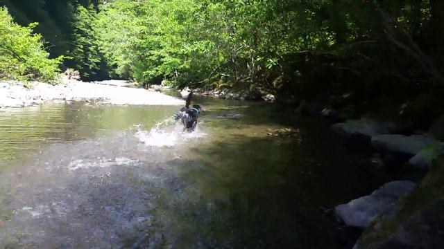 Jaeger dives смотреть онлайн