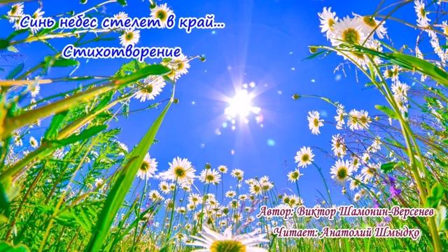 Синь небес стелет в край... смотреть онлайн