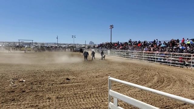 Wild Horse Race 2019 Northern Navajo Fair смотреть онлайн