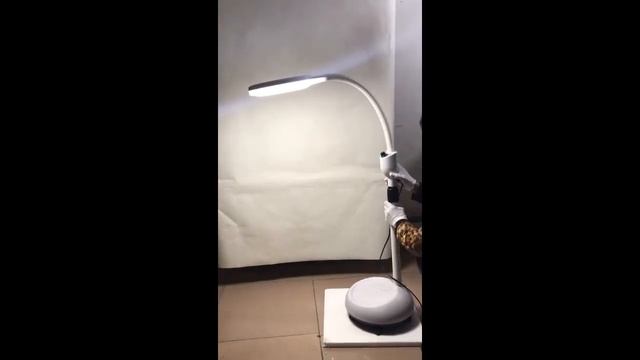 Современный регулируемый 8x увеличительный холодный светильник, теневая напольная лампа, красивый смотреть онлайн