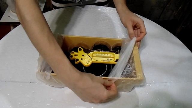 Адениум дома. Как вырастить адениум из семян. Результат 100 % смотреть онлайн