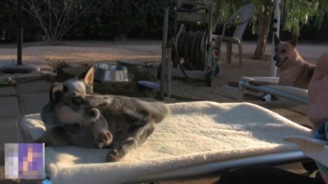 За еду готов умереть смотреть онлайн