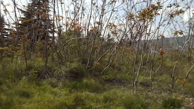 КУПИТЬ ЗЕМЕЛЬНЫЙ УЧАСТОК 7 соток в районе БАКАЛЕИ В ЯЛТЕ НА СЛАНДО & АВИТО ПРОСТО +79780964998 смотреть онлайн