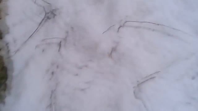 Камера для блоггера | Тест новой камеры смотреть онлайн