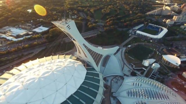 Богатство| Отношения| Счастье| Грибная духовная практика (часть5)