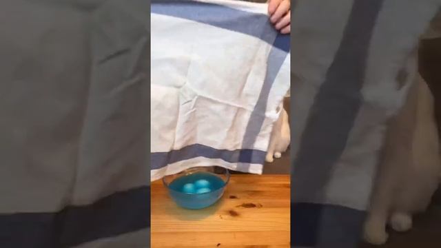 Яйца, синие #shorts смотреть онлайн