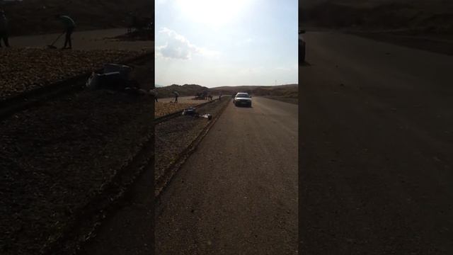 процесс сушки груш в Тюлькубасе смотреть онлайн