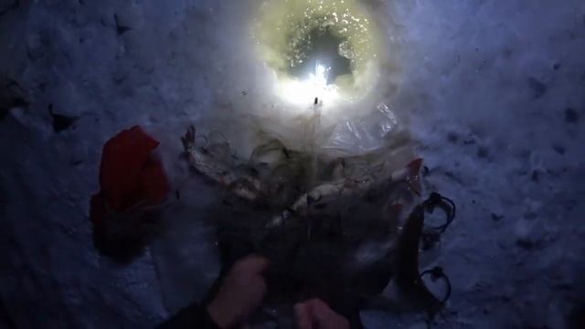 Рыбалка с супругой! ЭТО НЕ СОН??? . Царская рыба! смотреть онлайн