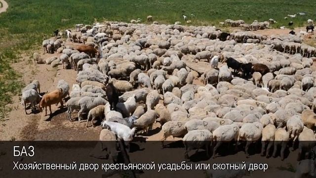 Баз. Толковый Видеословарь русского языка смотреть онлайн
