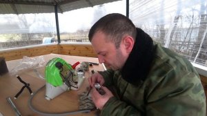 Триммер «Который не смог»  RedVerg RD-GB243S, разбираем.
