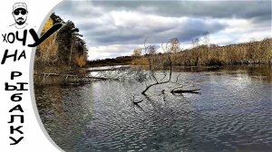 СТОИЛО ТОЛЬКО ЗАПЛЫТЬ В ЭТУ ЛУЖУ. ловля щуки в октябре на воблеры и джиг