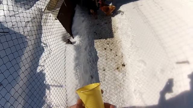 Диалоги о бушкрафте 3 смотреть онлайн