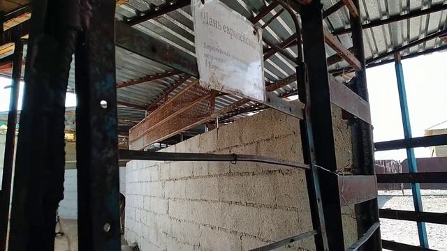 vlog СТРАУСИНАЯ ФЕРМА в Бишкеке, подержала в руках камеру, крч-насыщенный день! смотреть онлайн