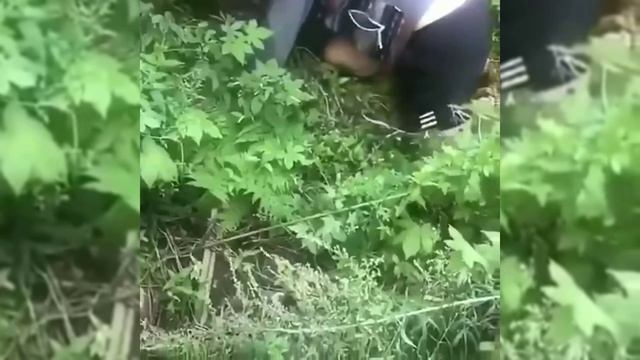 Приколы смотреть онлайн