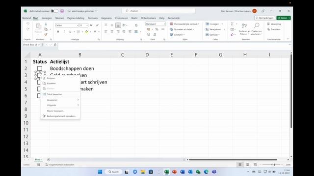 Een selectievakje gebruiken in Excel смотреть онлайн