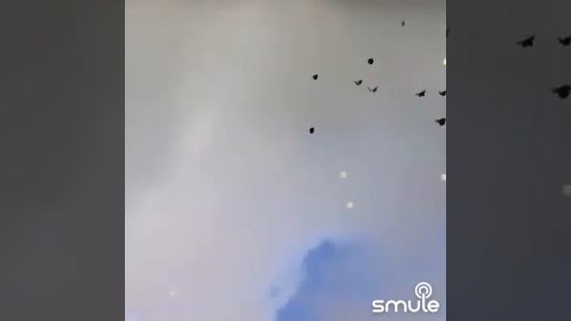 УЖ ВЫ ГОЛУБИ, УЖ ВЫ СИЗАИ#ДУХОВНЫЙ СТИХ смотреть онлайн