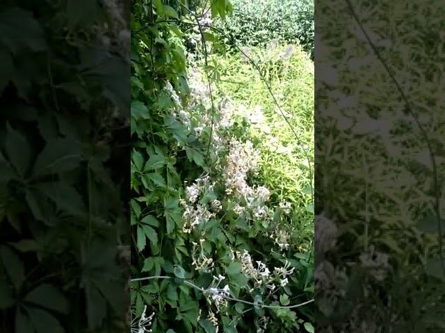 13 июня 2022 г. смотреть онлайн