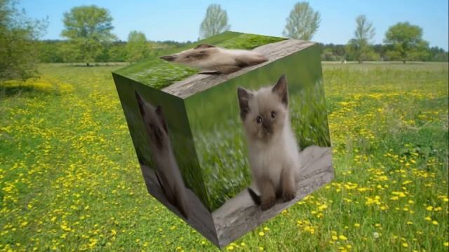 PHOTOSHOP , кубик смотреть онлайн