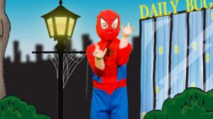 Finger Family Halloween & More | Halloween Kids Songs and Nursery Rhymes | The Mik Maks