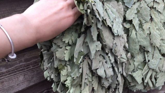 Обзор профессиональных веников из Кавказского дуба смотреть онлайн