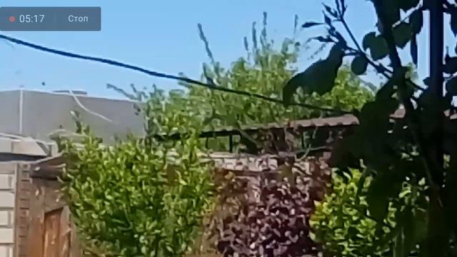 СУСТАВЫ И АРТРИТ , КОСТИ И ОСТЕО БОЛЕЗНИ ИЗЛЕЧИТЬ 27.05.2022 смотреть онлайн