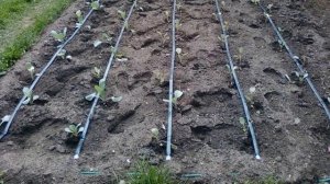 Кран Для Капельного Полива