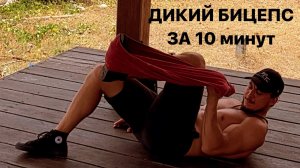 Дикий бицепс за 10 минут в день. Тренировка бицепса ДОМА