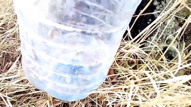 Березовый сок смотреть онлайн