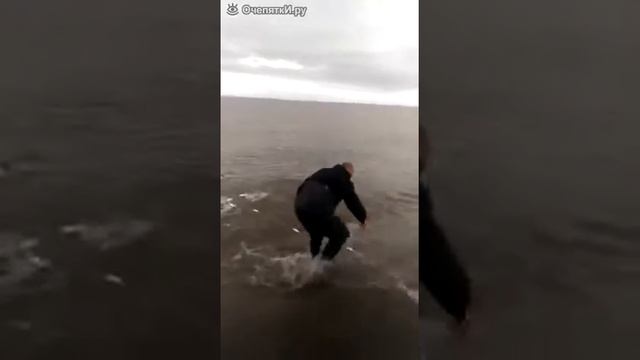 Самая быстрая ловля рыбы смотреть онлайн