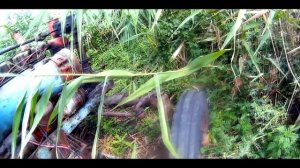 Нашел СТАРЫЙ ЗАБРОШЕНЫЙ Трактор в Болоте